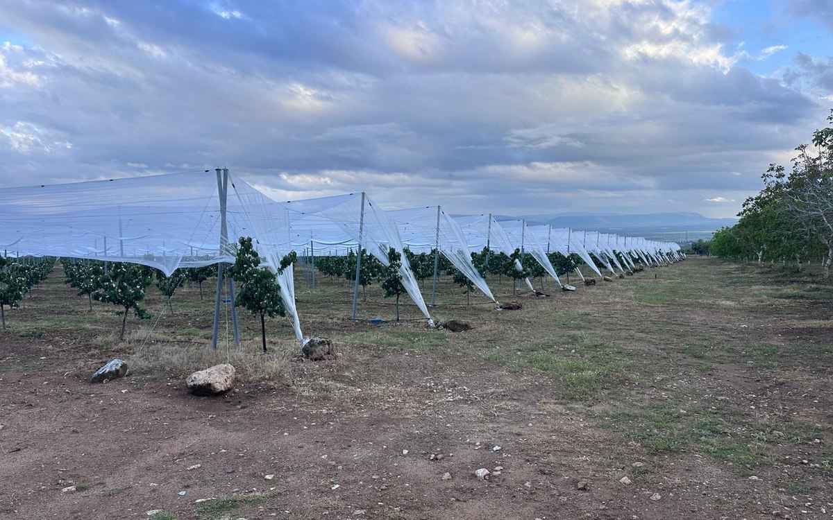 Direk ve çelik halatlar üzerinde serilmiş beyaz dolu filesi